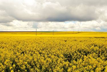 Original Fine Art Landscape Photography by Ekrem Özlü