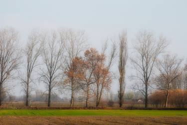 Print of Fine Art Landscape Photography by Ekrem Özlü