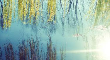 Print of Fine Art Nature Photography by Ekrem Özlü