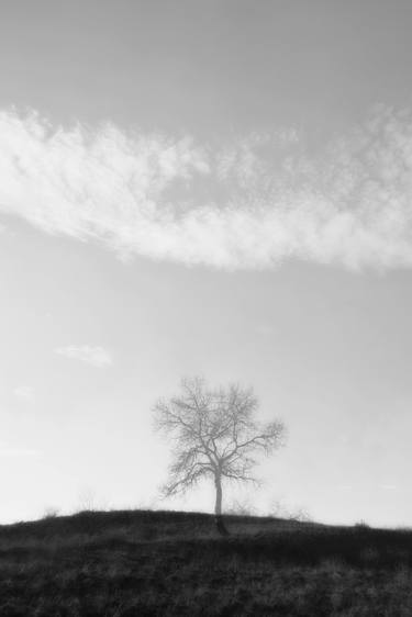 Print of Minimalism Landscape Photography by Ekrem Özlü