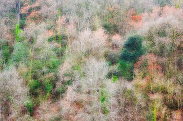 Original Abstract Nature Photography by Ekrem Özlü