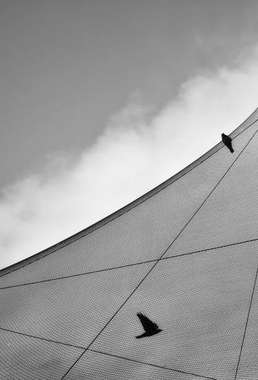 Original Abstract Geometric Photography by Ekrem Özlü