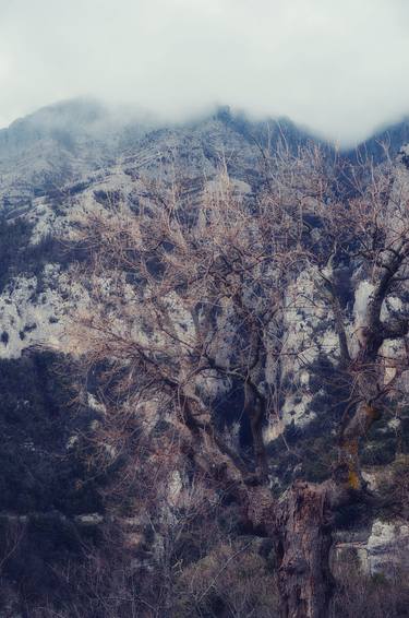 Original Contemporary Landscape Photography by Ekrem Özlü