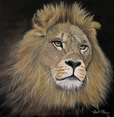 Original Animal Paintings by Grant Blaise O'Reilly