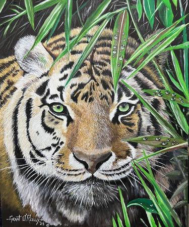 Original Realism Animal Paintings by Grant Blaise O'Reilly