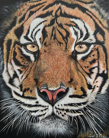Original Realism Animal Paintings by Grant Blaise O'Reilly