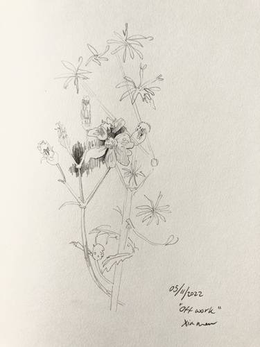 Original Fine Art Floral Drawings by Rosie Turner
