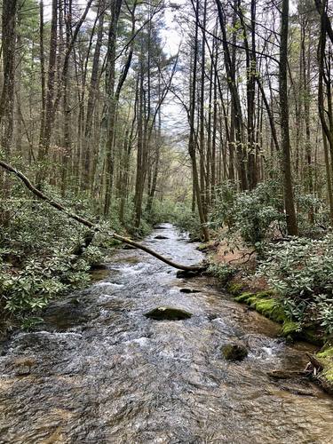 The Peaceful Creek thumb