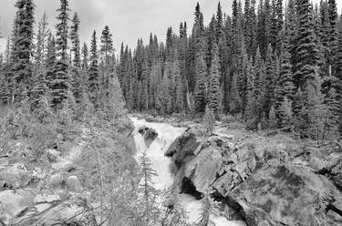 The Little Yoho River thumb