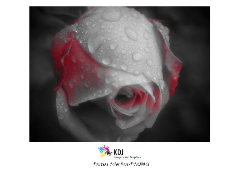 Original Black & White Abstract Photography by Keith Johnson