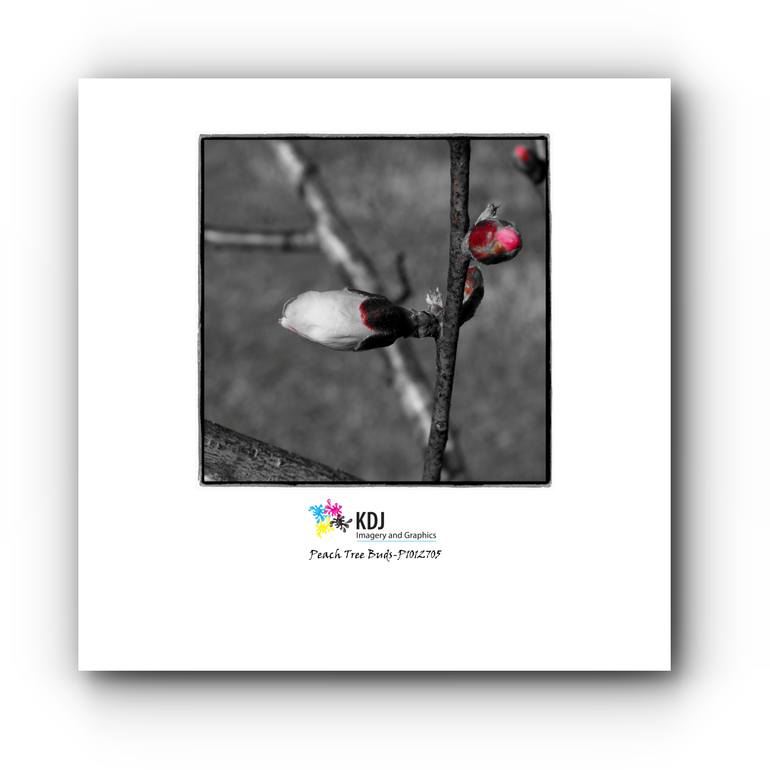 Original Black & White Abstract Photography by Keith Johnson