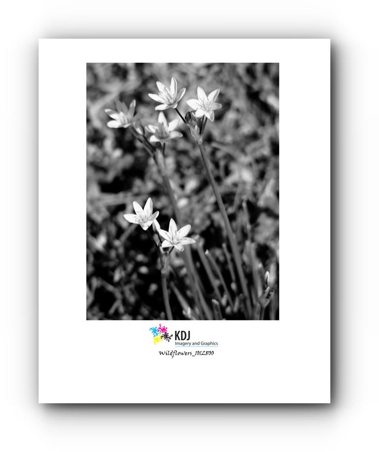 Original Abstract Floral Photography by Keith Johnson