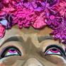 Close up- Symphony in Pink