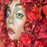 Symphony in Red, close-up