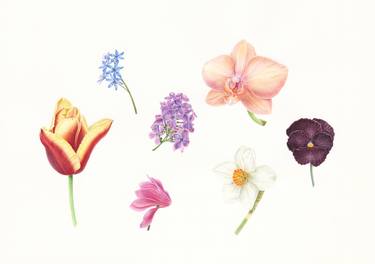 Print of Realism Botanic Paintings by Olga Akimtseva