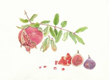 Pomegranate, figs, original handmade illustration, 30*40 cm thumb