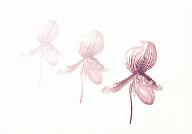 Print of Documentary Floral Paintings by Olga Akimtseva