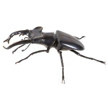 Stag Beetle - Bronze thumb