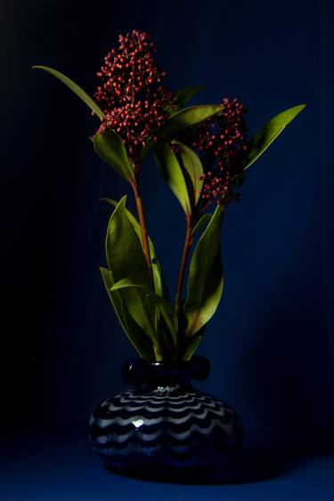 Original Contemporary Still Life Photography by Gabriela Sanchez