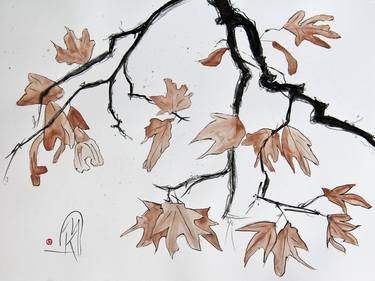 Maple Branch Drawing thumb