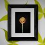 Tulip painting - wall art visualizer
