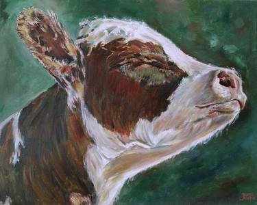 Original Animal Paintings by Jura Kuba Art