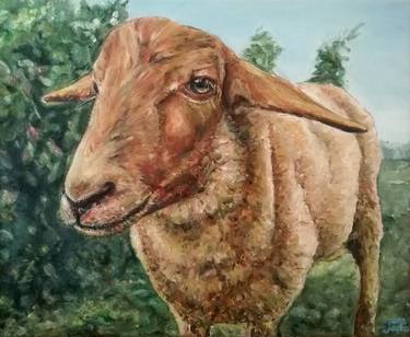 Original Realism Animal Paintings by Jura Kuba Art