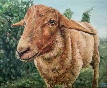 Original Animal Paintings by Jura Kuba Art