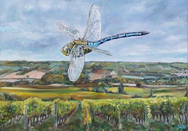 Dragonfly Over The Selz Valley thumb