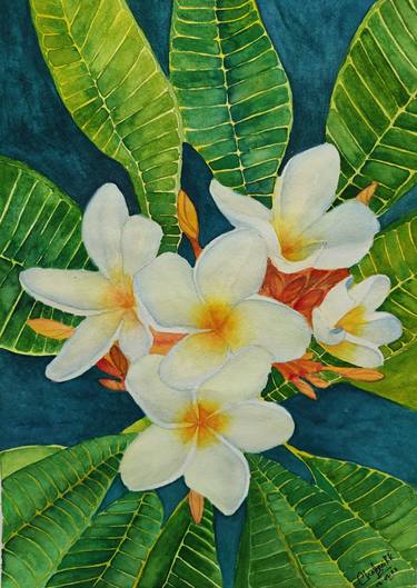 Print of Floral Paintings by Chapani Kandanaarachchi