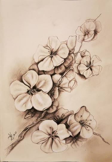 Print of Floral Drawings by Ana Kirnbauer Art