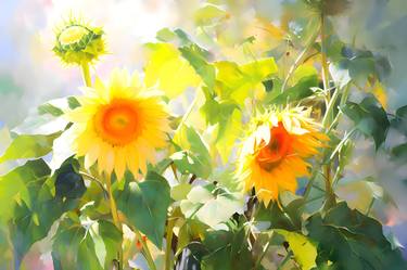 Sunlit sunflowers thumb