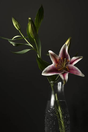 Print of Figurative Floral Photography by Antonio Fernandez