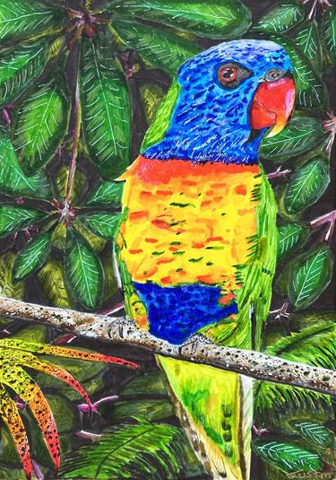 Rainbow Lorikeet thumb