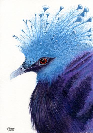 Birds water color painting - Spectra - Digital Art, Animals, Birds