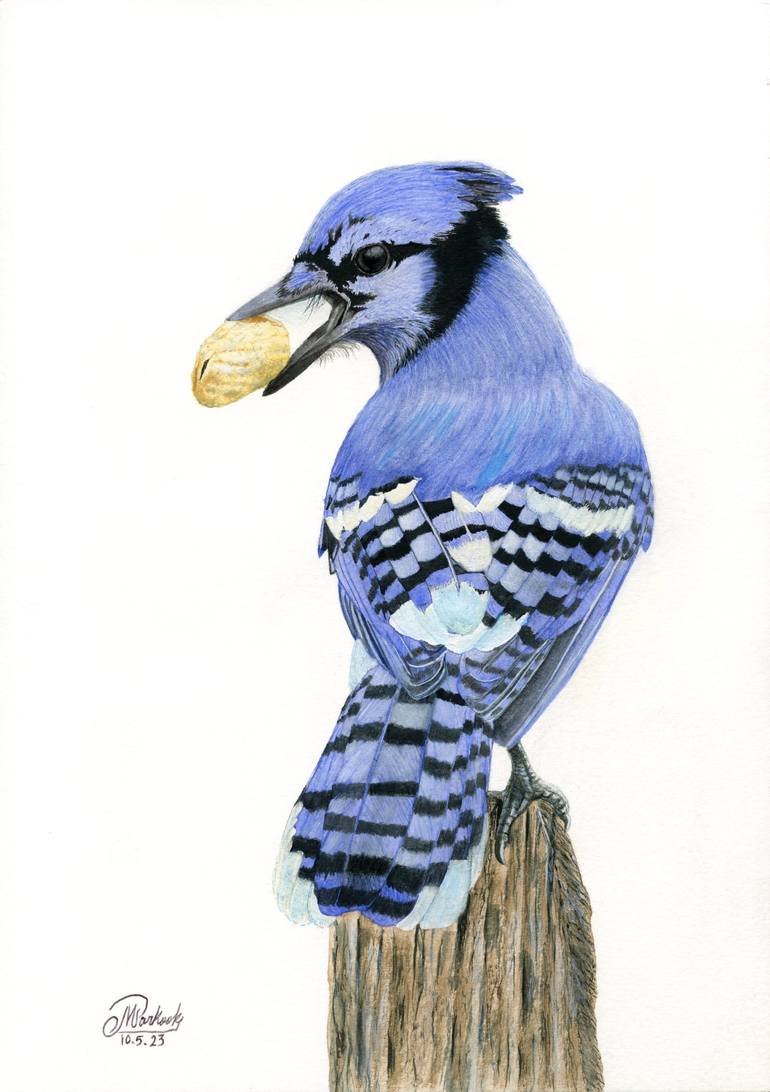 Original Fine Art Animal Paintings by Mo Parkook