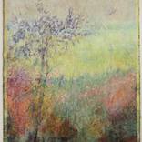 Collection Summer Landscapes