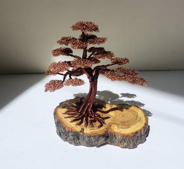 Bonsai with copper wire, placed on plum wood thumb