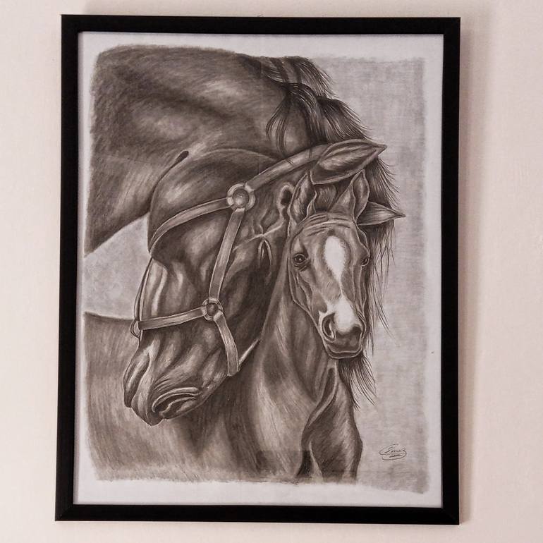 caballo  Horse art drawing, Horse drawings, Pencil art drawings