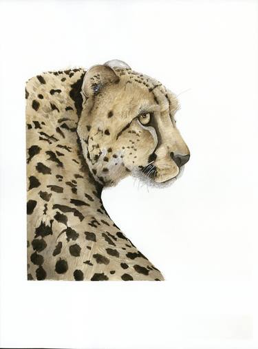 Print of Realism Animal Paintings by Abi Naude