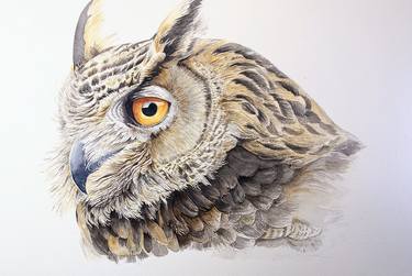 Print of Fine Art Animal Paintings by Abi Naude