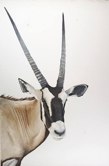 Print of Realism Animal Paintings by Abi Naude