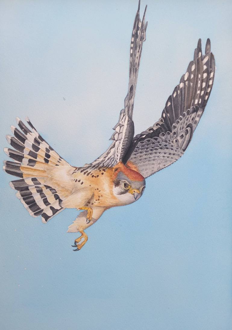 Original Realism Animal Paintings by Abi Naude