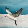 Seagull