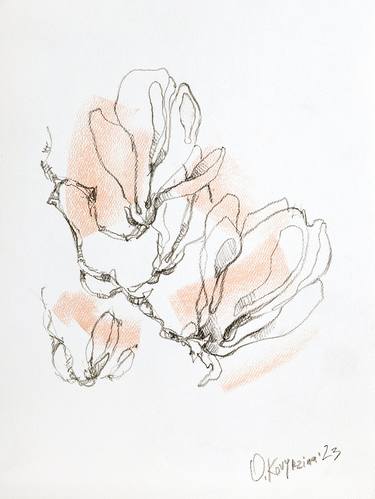Print of Botanic Drawings by Olena Kovyrzina
