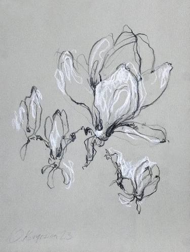 Print of Illustration Botanic Drawings by Olena Kovyrzina