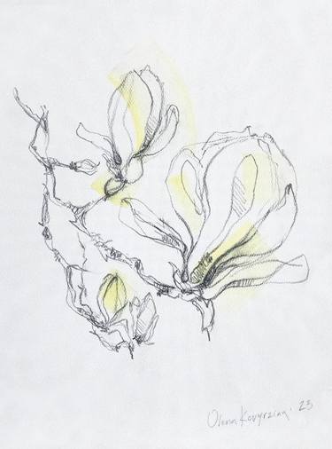Original Illustration Botanic Drawings by Olena Kovyrzina