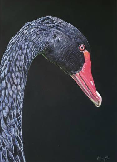 Original Realism Animal Drawings by Sarah Perry