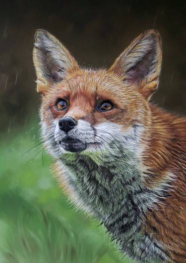 Original Realism Animal Drawings by Sarah Perry