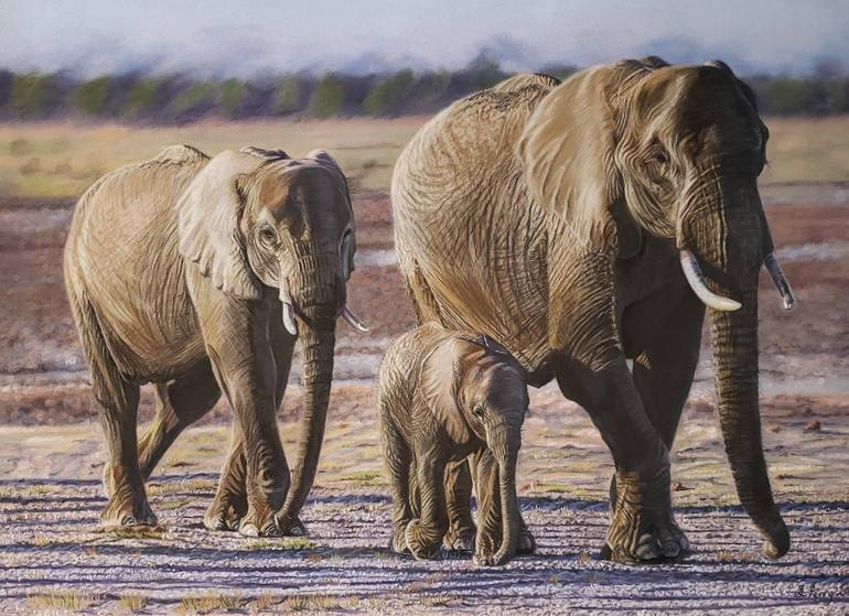 View in a Room Artwork